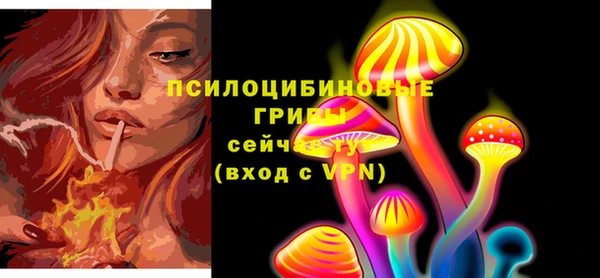 стаф Бородино