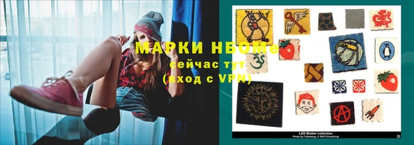 стаф Бородино