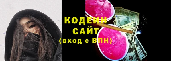 стаф Бородино