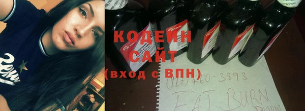 стаф Бородино