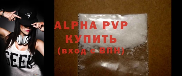 стаф Бородино