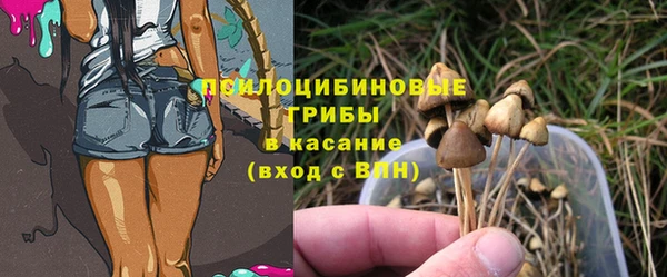 таблы Богданович