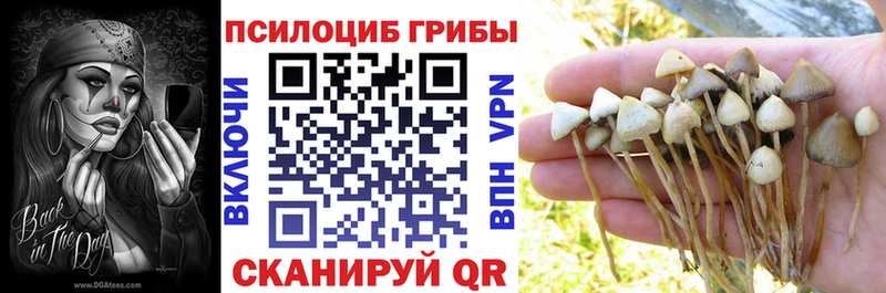 Псилоцибиновые грибы мицелий  Купить  Мезень 