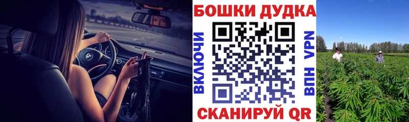 Купить  Мезень  Шишки марихуана семена 